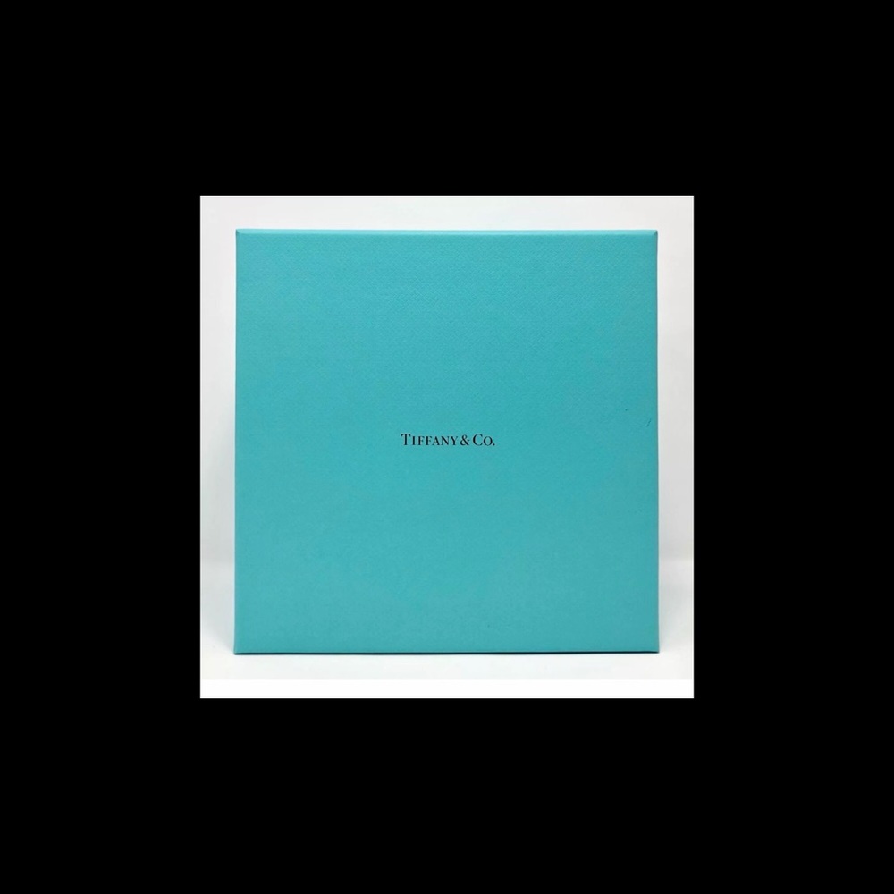 Tiffany & Co Somerset Collection Mesh Necklace